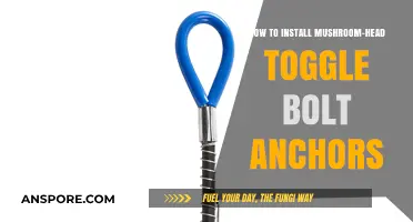 Mastering Mushroom-Head Toggle Bolt Anchors: A Step-by-Step Installation Guide