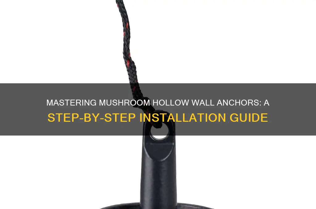 how to install mushroom hollow wall anchors