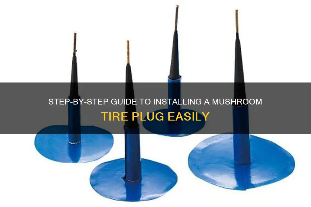 how to install mushroom tire plug