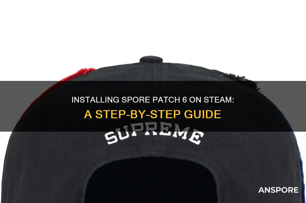 how to install patch 6 spore steam