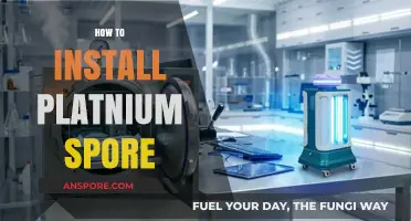 Mastering Platinum Spore Installation: A Step-by-Step Guide for Beginners