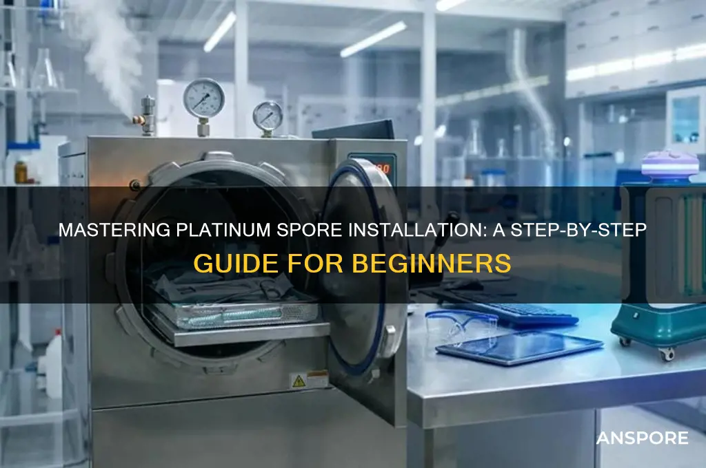 how to install platnium spore