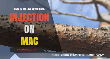 Install Spore Dark Injection on Mac: Step-by-Step Guide