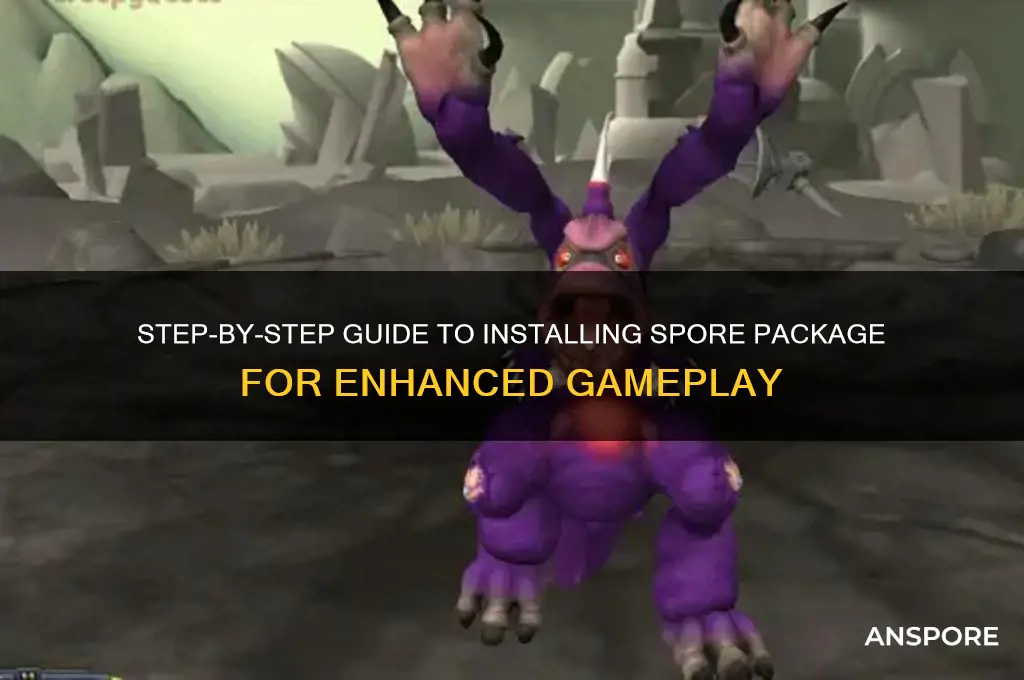 how to install spore package