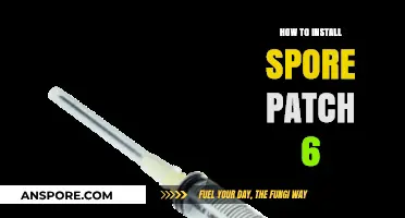 Step-by-Step Guide: Installing Spore Patch 6 for Enhanced Gameplay