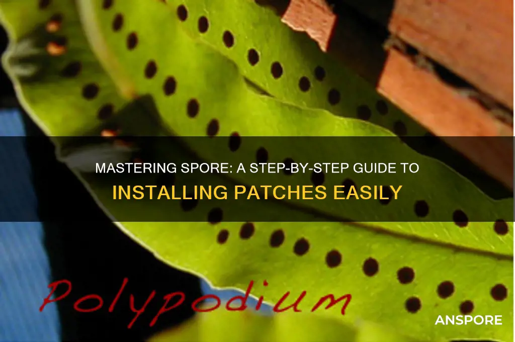 how to install spore patches
