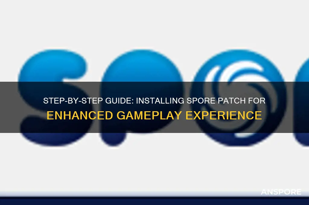 how to install spore ptch