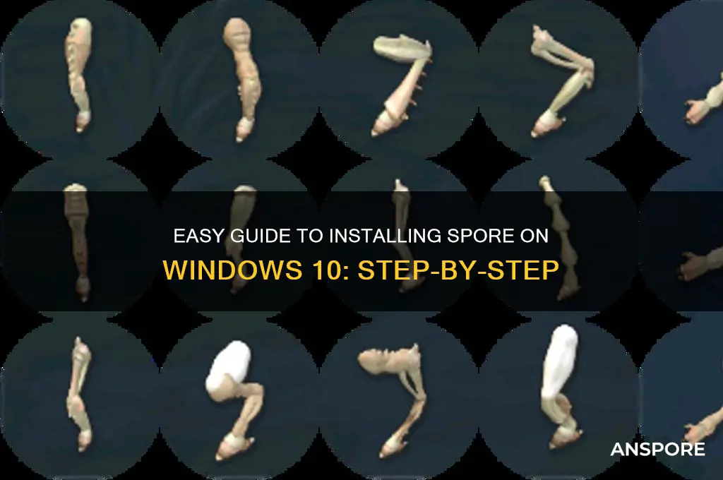 how to install spore windows 10