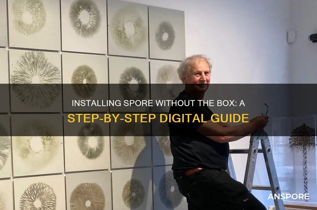 how to install spore with out the box