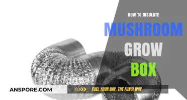 Effective Insulation Techniques for Optimal Mushroom Grow Box Conditions