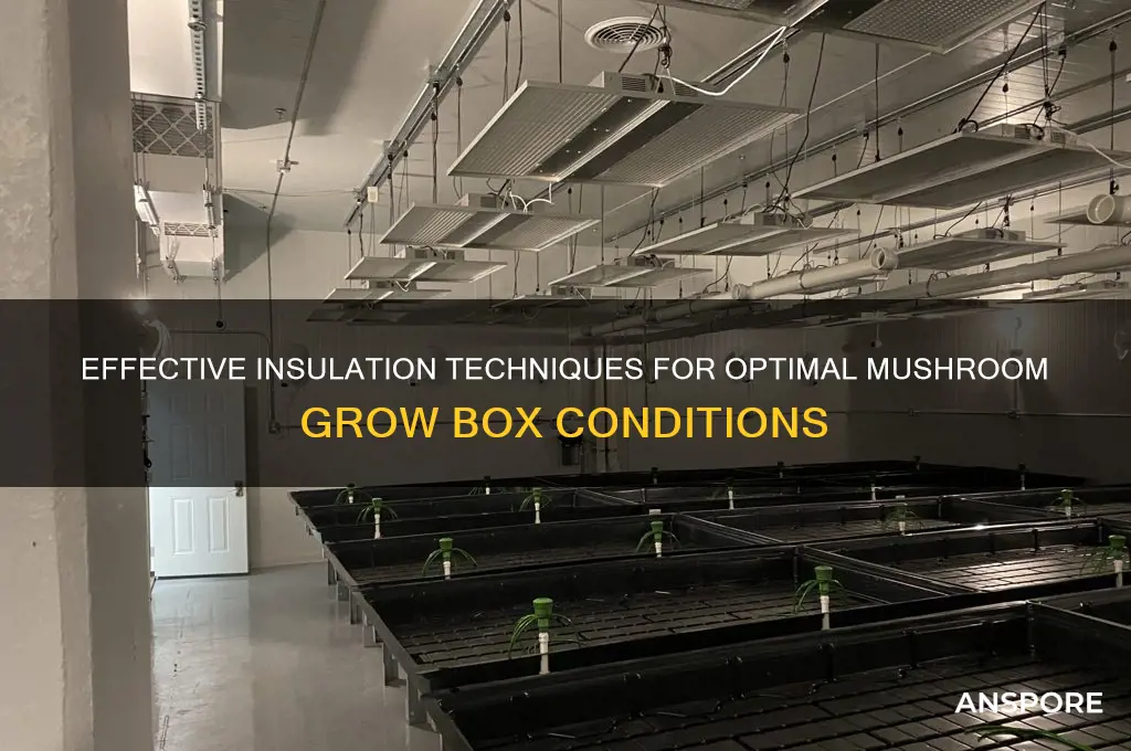how to insulate mushroom grow box
