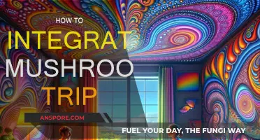 Integrating Your Mushroom Trip: A Practical Guide