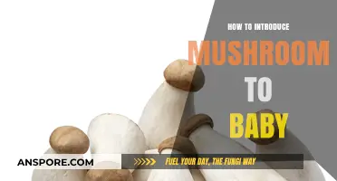 Introducing Mushrooms to Baby: A Nutritious and Safe First Step