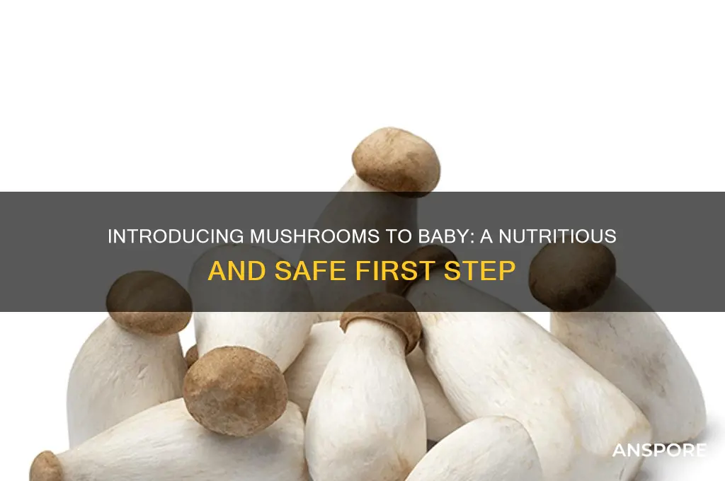 how to introduce mushrooms to baby
