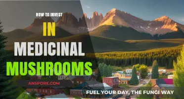 Unlocking Wellness: A Beginner's Guide to Investing in Medicinal Mushrooms