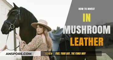Sustainable Fashion: Investing in Mushroom Leather for Eco-Friendly Profits