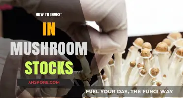 Investing in Mushroom Stocks: A Beginner's Guide to Fungal Growth