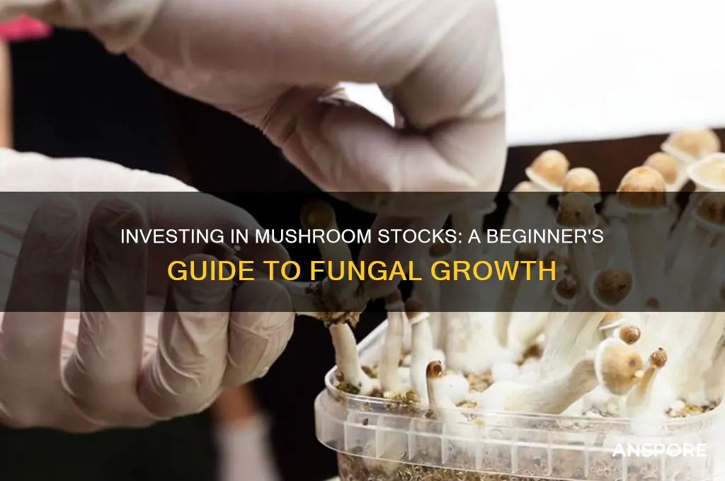 how to invest in mushroom stocks