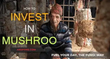 Mushroom Investing: A Guide to Getting Started