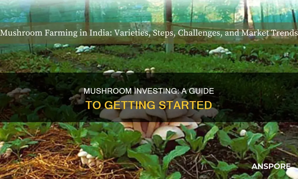 how to invest in mushrooms