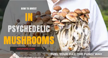 Unlocking Psychedelic Potential: A Guide to Investing in Magic Mushrooms
