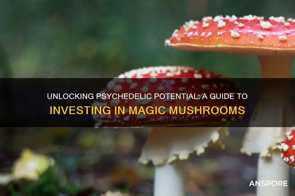 how to invest in psychedelic mushrooms