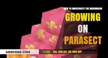 Unveiling Parasect's Mushroom: A Comprehensive Guide to Investigating Its Growth