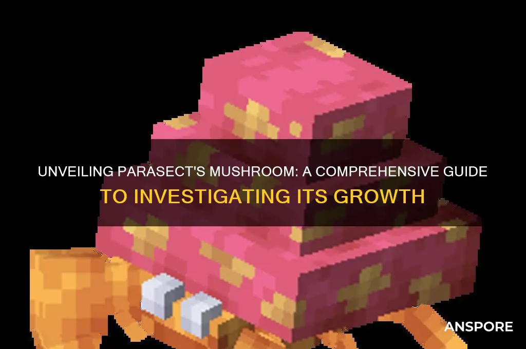how to investigate the mushroom growing on parasect