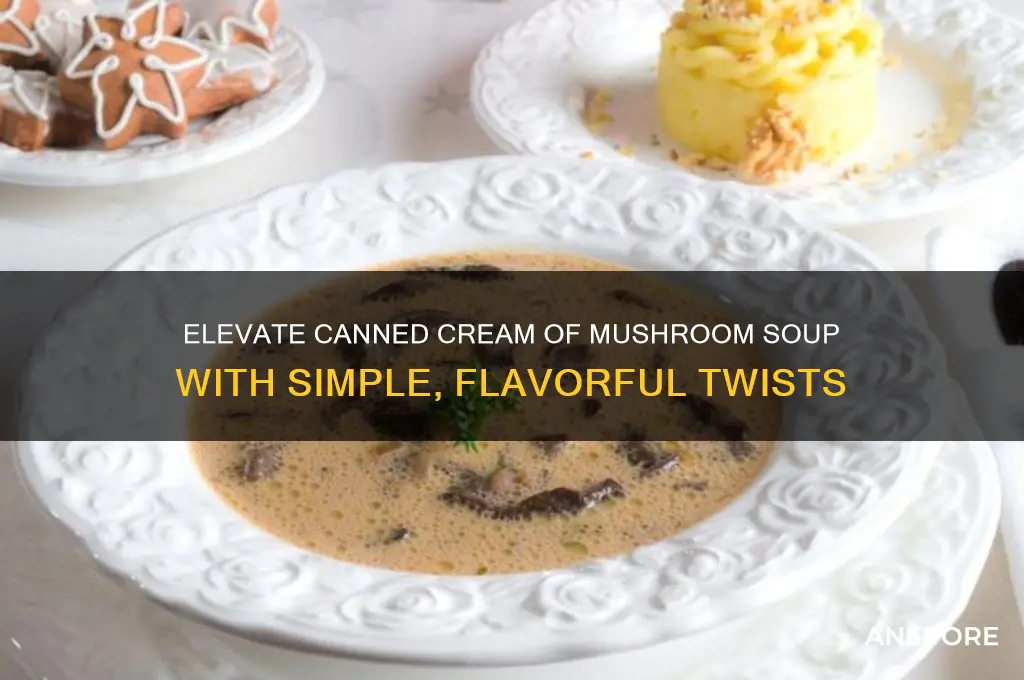 how to jazz up canned cream of mushroom soup