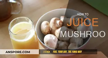 Juicing Mushrooms: A Step-by-Step Guide to Extracting Their Power
