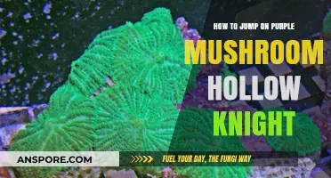 Mastering Mushroom Jumps: A Hollow Knight Guide to Purple Platforms