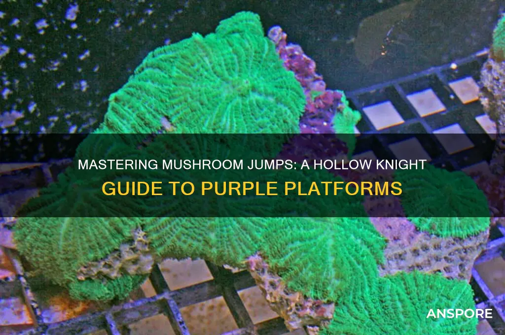 how to jump on purple mushrooms hollow knight