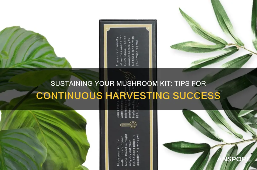 how to keep a mushroom kit going