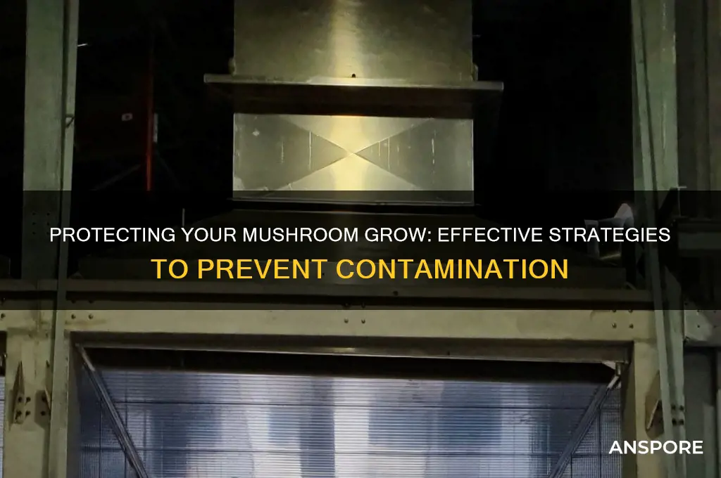 how to keep a my mushrooms safe from contaminants