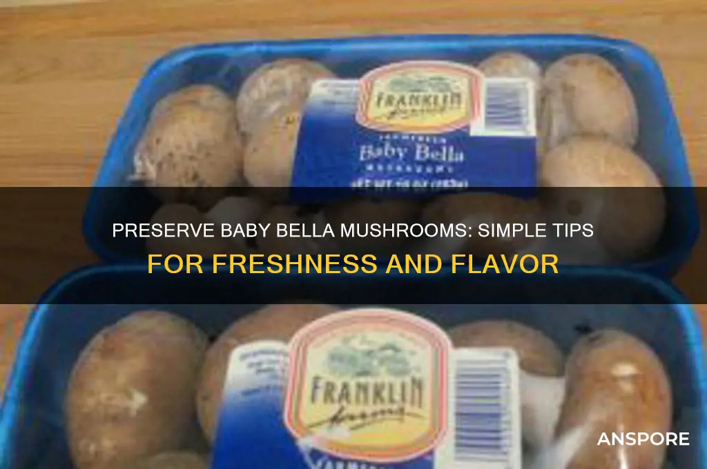 how to keep baby bella mushrooms fresh