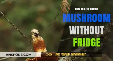 Preserving Button Mushrooms: Simple Tips for Freshness Without Refrigeration