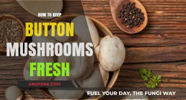 Fresh Button Mushrooms: Simple Storage Tips for Longer Shelf Life