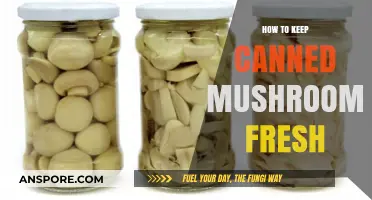 Preserving Canned Mushrooms: Tips for Long-Lasting Freshness and Flavor