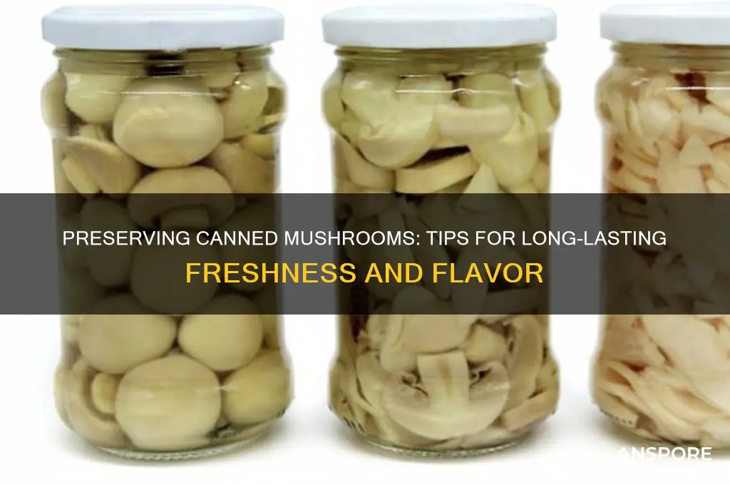 how to keep canned mushrooms fresh