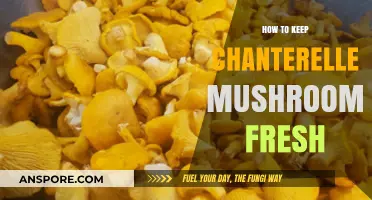 Preserving Chanterelle Mushrooms: Tips for Freshness and Flavor Retention