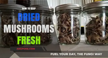 Preserving Dried Mushrooms: Tips to Maintain Freshness and Flavor Longer