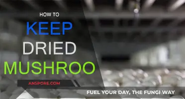 The Best Way to Store Dried Mushrooms