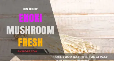 Effective Tips to Preserve Freshness of Enoki Mushrooms at Home
