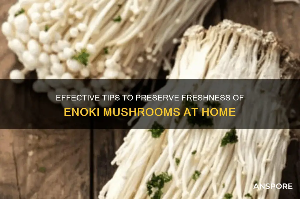 how to keep enoki mushroom fresh