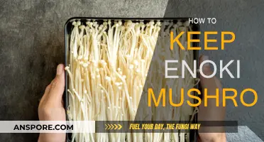 The Best Way to Keep Enoki Mushrooms