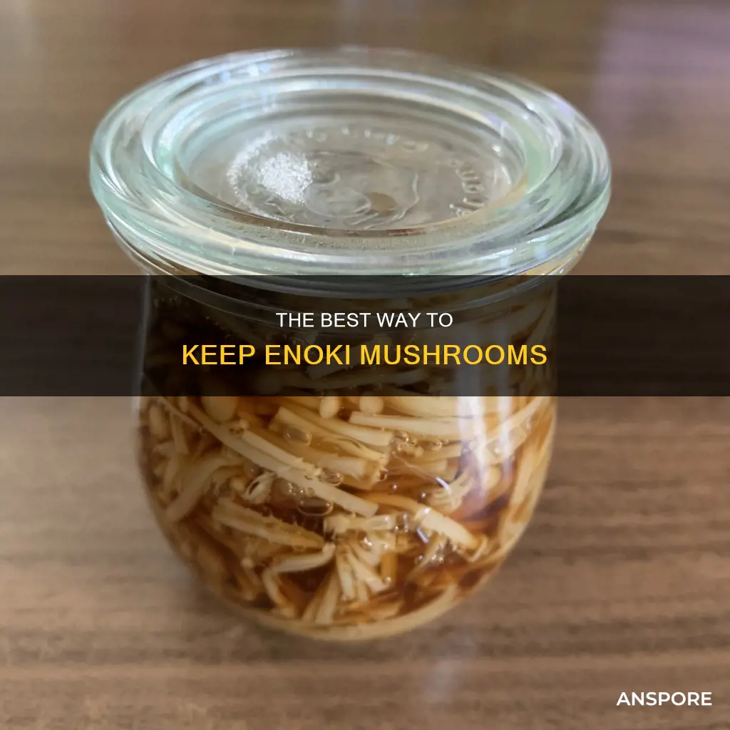how to keep enoki mushroom