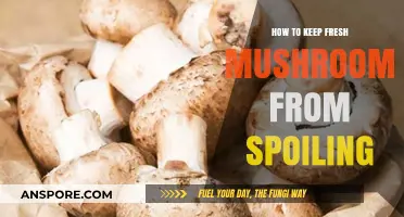 Preserve Your Mushrooms: Simple Tips to Prevent Spoilage and Extend Freshness