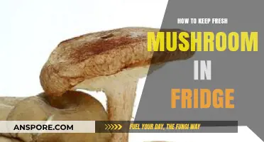 Fresh Mushrooms Longer: Simple Fridge Storage Tips for Optimal Freshness