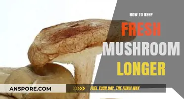 Extend Mushroom Freshness: Simple Tips for Longer Storage