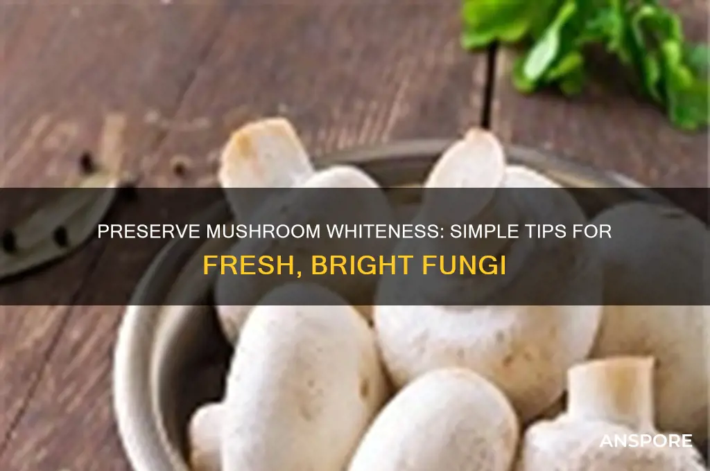 how to keep fresh mushrooms white